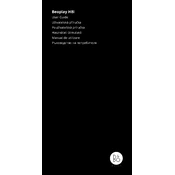 Bang Olufsen BeoPlay H8i