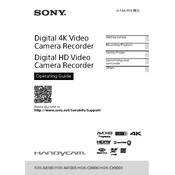 Sony FDR-AX100 manual cover