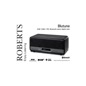 Roberts Blutune Bluetooth 2013 manual cover