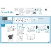 Sony XBR-100Z9D manual cover