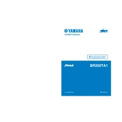 Yamaha BR250TA1 2011 Bravo manual cover