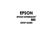 Epson Expression 800