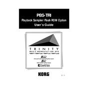 KORG PBS-TRI manual cover