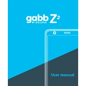 ZTE Gabb Z2 manual cover