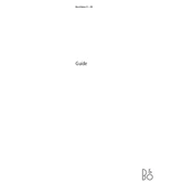 Bang Olufsen Beovision 3 28