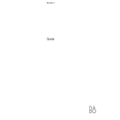 Bang Olufsen Beovision 5