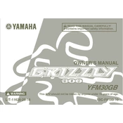 Yamaha YFM30GB Grizzly 300 2012 manual cover