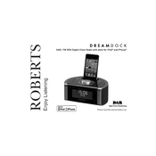 Roberts DREAMDOCK Clock 2011