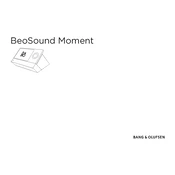 Bang Olufsen Beosound Moment