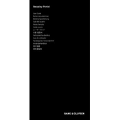 Bang Olufsen Beoplay Portal