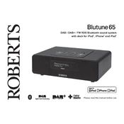 Roberts Blutune65 Clock 2016 manual cover