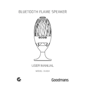 Goodmans B&M Bluetooth Flame Speaker 354958