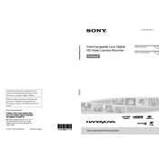 Sony NEX-VG30