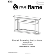 Realflame 8230 manual cover