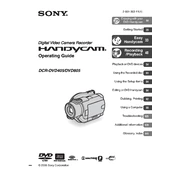 Sony DCR-DVD405 manual cover