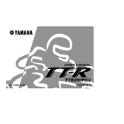 Yamaha TTR250P C TT R 2002 manual cover