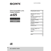 Sony SLT-A65