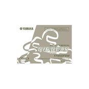 Yamaha YFM40FBW Big Bear 400 2007 manual cover