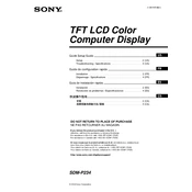 Sony SDM-P234