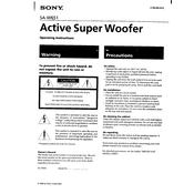 Sony SA W651 manual cover