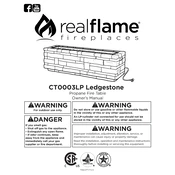 Realflame CT0003LP manual cover