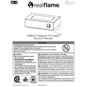 Realflame C9813LP manual cover