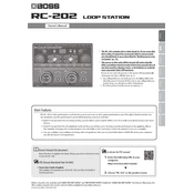Boss RC-202