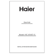 Haier HIC-654CF-S manual cover