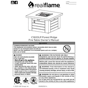 Realflame C1600LP