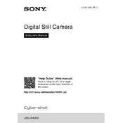 Sony DSC-HX350 manual cover