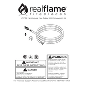 Realflame C1725 manual cover