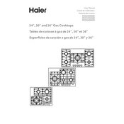 Haier HCC2430AGS manual cover