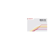 Seat Ibiza SC 2013 manual cover