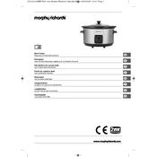 Morphy Richards 461013 Stainless Steel