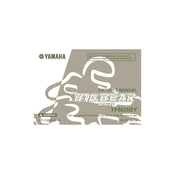 Yamaha YFM25BY Big Bear 250 2009 manual cover