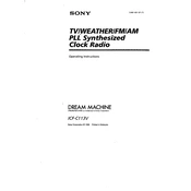 Sony ICF-C113V manual cover