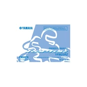 Yamaha YFM25RZ Raptor 2010 manual cover