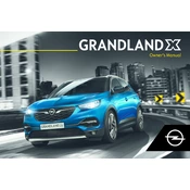 Opel Grandland X 2019 manual cover