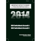 Polaris 800 600 Switchback Assault