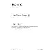 Sony HDR-AS100VR manual cover