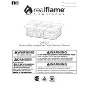 Realflame C11812LP manual cover