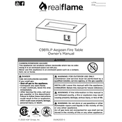 Realflame C9811LP
