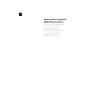 Apple Wireless Keyboard and Mouse