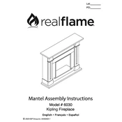 Realflame 6030 manual cover