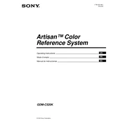 Sony GDM-C520K manual cover