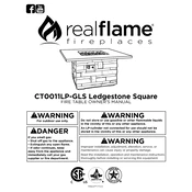 Realflame CT0011LP-GLS manual cover