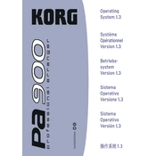 KORG Pa900