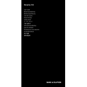 Bang Olufsen Beoplay EQ