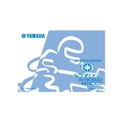 Yamaha XV19CSX C, XV19CX C Star 2008 manual cover