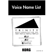 KORG TRINITY plus